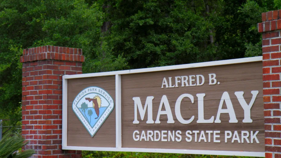 Tallahassee's Top Hiking Trails: Nature's Escape Before the FSU-New Mexico State Matchup