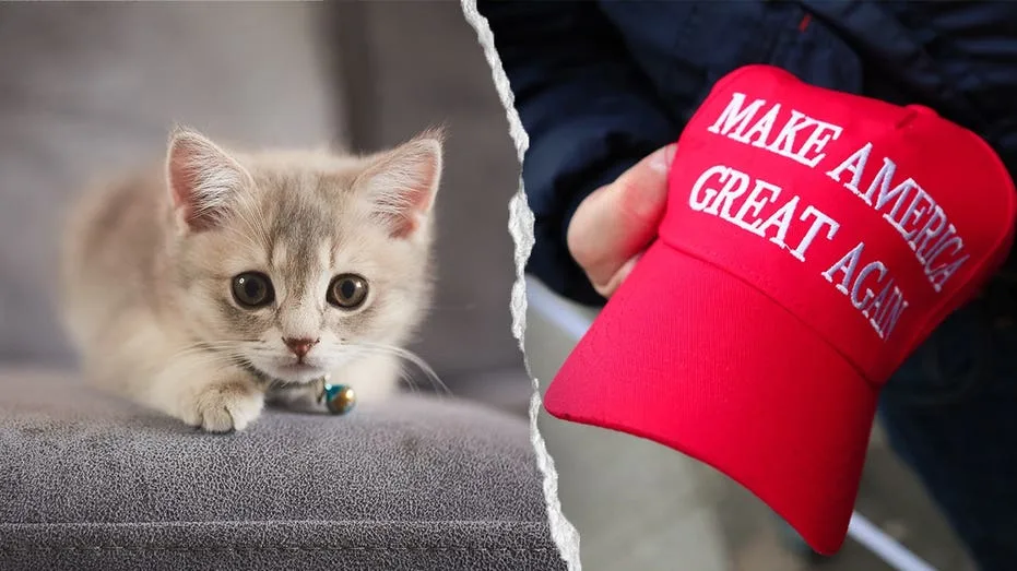 NYC Kitten Rescue Defends 'No MAGA' Adoption Stance Amid Growing Criticism, PETA Calls for Policy Reversal
