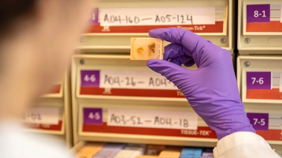 Fetal Tissue Supplier Charged $765 Per Organ, Cautioned Against Language Implying Illegal Sales